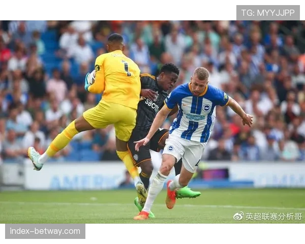 英超第23轮全部结束 埃弗顿与利兹联平局收场各取一分